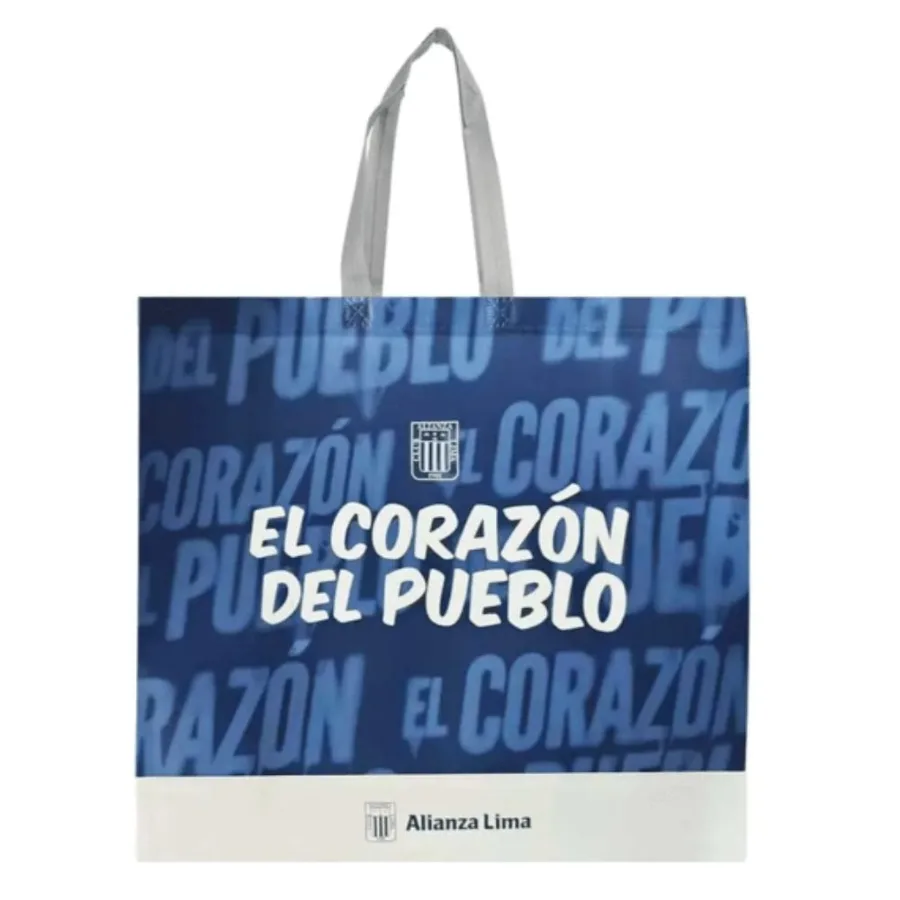 BOLSA REUTILIZABLE 43X22X38 CM UYUSTOOLS