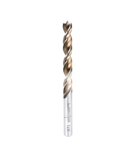 BROCA DE MADERA 1.00MM ALPEN