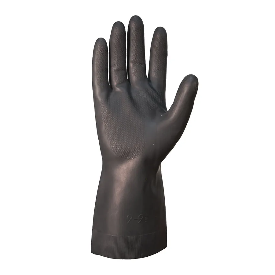 LATEX MAESTRO ACENTO NEGRO ANYPSA