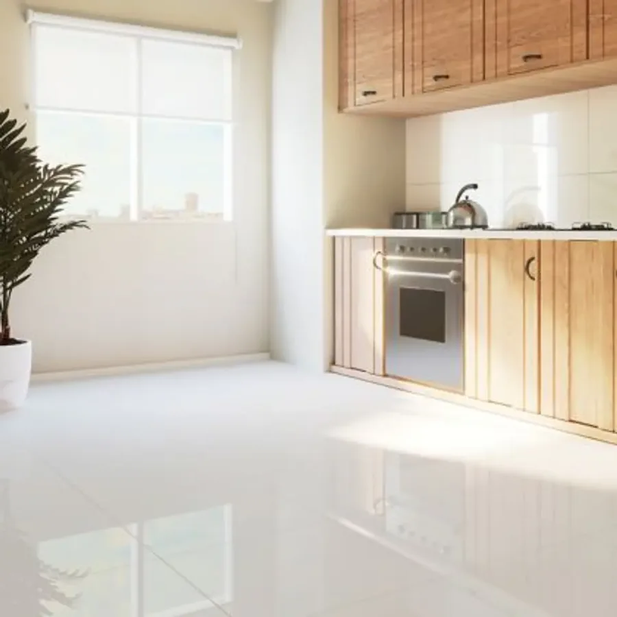 PX6060 PORCELANTO SUPER BLANCO GLOSS S/M