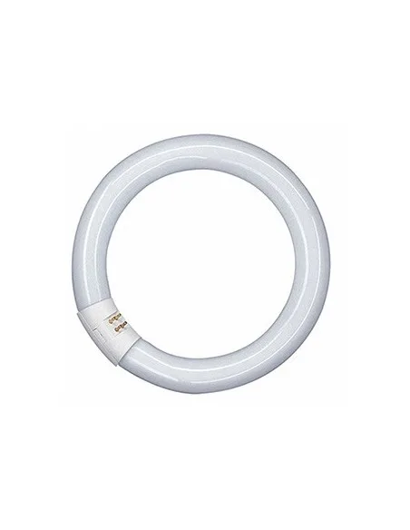 TUBO LED CIRCULAR 20W HOME LIGHT